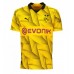 Camisa de time de futebol Borussia Dortmund Mats Hummels #15 Replicas 3º Equipamento 2023-24 Manga Curta